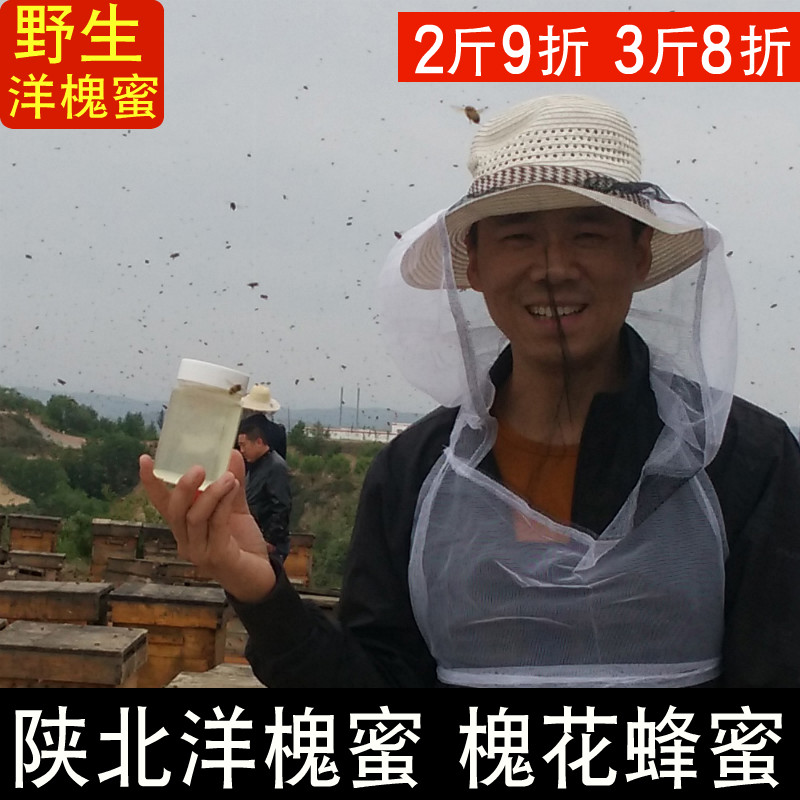 洋槐蜜纯正天然农家自产洋槐花蜜野生洋愧41度1斤洋槐蜂蜜挤压瓶在类目 传统滋补营养品, 蜂蜜中 - 来自Buy2taobao.com提供专业的淘宝代购服务