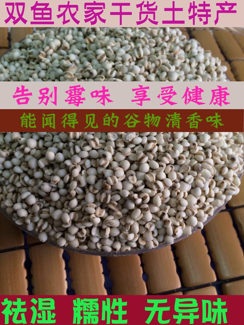 Fujian Pisces Farm Job's tears Barley rice Coix fresh Musty Medical selected MI Ren 250gin the Agri rice/Dried foods/Condiment , Meter/Flour/Grains , Rice , Barley category - from Buy2taobao.com to provide professional Taobao agent buy service