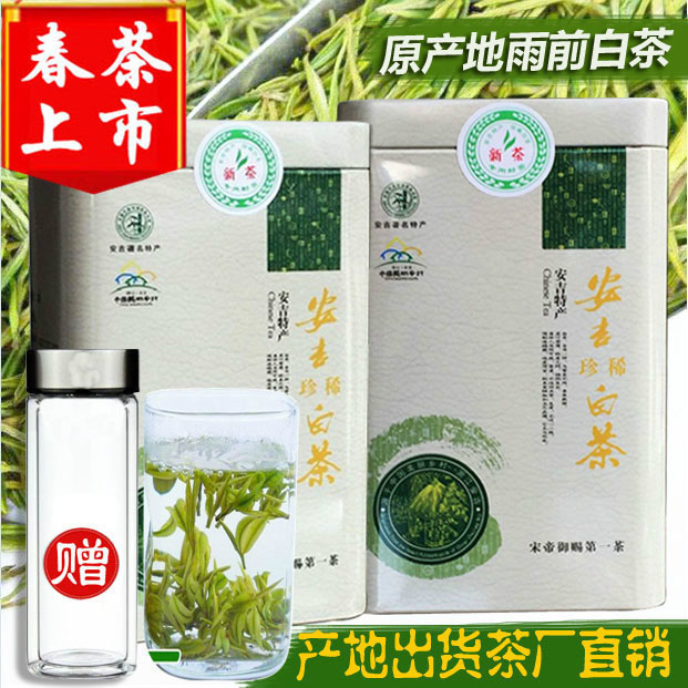 2019新茶安吉白茶250克雨前特级春茶原产地珍稀散装正宗绿茶叶在类目 茶, 绿茶(新), 安吉白茶中 - 来自Buy2taobao.com提供专业的淘宝代购服务
