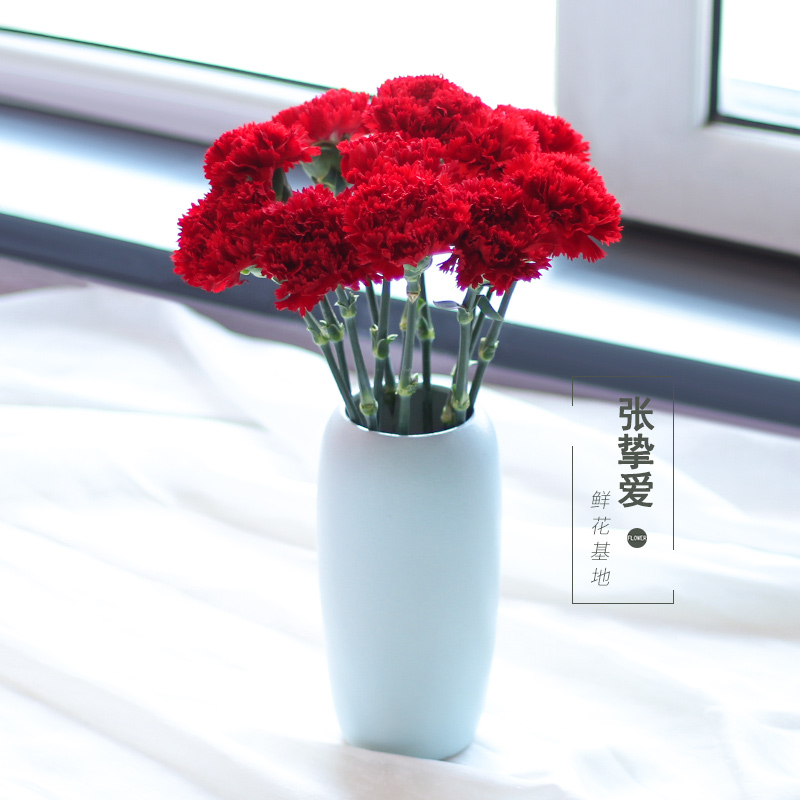 昆明鲜花批发云南基地直发康乃馨鲜切花直批直供家用插花水养包月|msdalam kategori penghantaran bunga/bunga simulasi/tumbuhan berkebun, penghantaran bunga (bandar) - dari Buy2taobao.com untuk memberikan perkhidmatan ejen Taobao profesional membeli