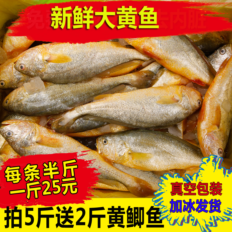 大黃魚小黃魚冰鮮大黃魚新鮮黃花魚大眼魚海魚野生小黃魚冷凍包郵在類目 水產肉類/新鮮蔬果/熟食, 海鮮/水產品/製品, 其它中 - 來自Buy2taobao.com提供專業的淘寶代購服務