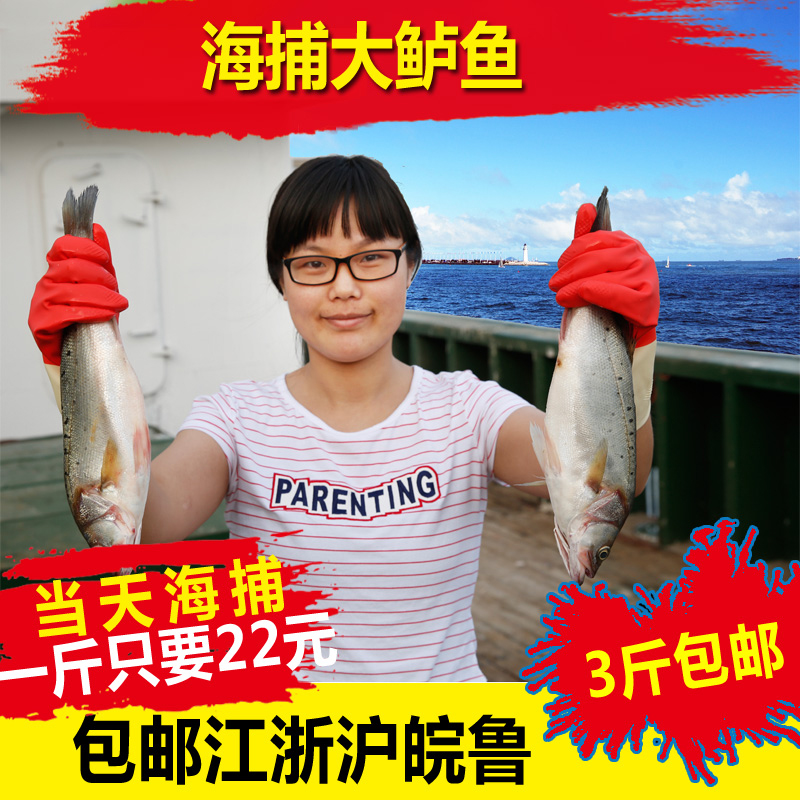 海鲜水产新鲜鲈鱼鲜活海鲈鱼花鲈鱼七星大鲈鱼野生海鱼当天海捕在类目 水产肉类/新鲜蔬果/熟食, 海鲜/水产品/制品, 其它中 - 来自Buy2taobao.com提供专业的淘宝代购服务