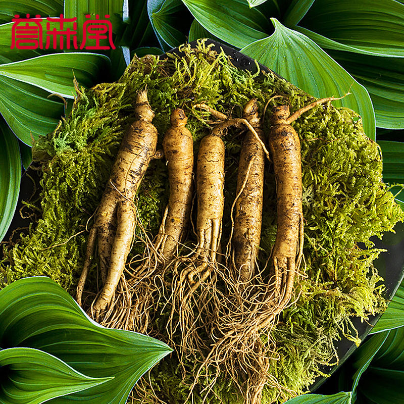 【買二送壹】譽森堂鮮人參170g 東北長白山特産新鮮人參帶土人參在類目 傳統滋補營養品, 參類滋補品, 人蔘/園參中 - 來自Buy2taobao.com提供專業的淘寶代購服務