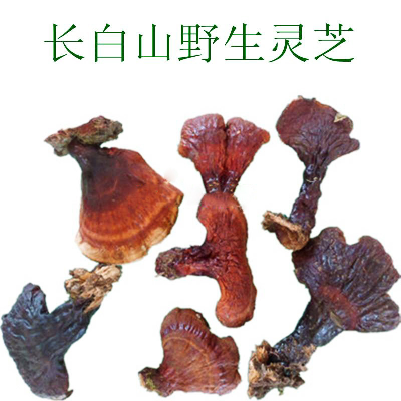 林芝野生灵芝白肉天然长白山松杉灵芝整枝深山特级不苦可切片打粉在类目 传统滋补营养品, 灵芝, 整枝灵芝中 - 来自Buy2taobao.com提供专业的淘宝代购服务