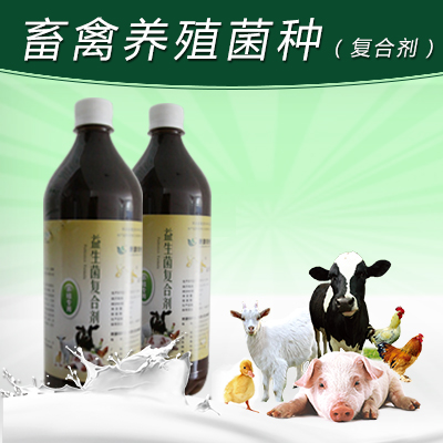 breed Complexing agent microorganism strain feed fermentation Water feed Add em Bacteriain the Livestock/Aquaculture supplies , Feed , Feed additives category - from Buy2taobao.com to provide professional Taobao agent buy service