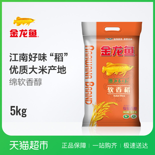 double purchase of golden dragon fish soft fragrant rice 5kg authentic northern jiangsu sheyang rice japonica popular popular soft fragrant rice