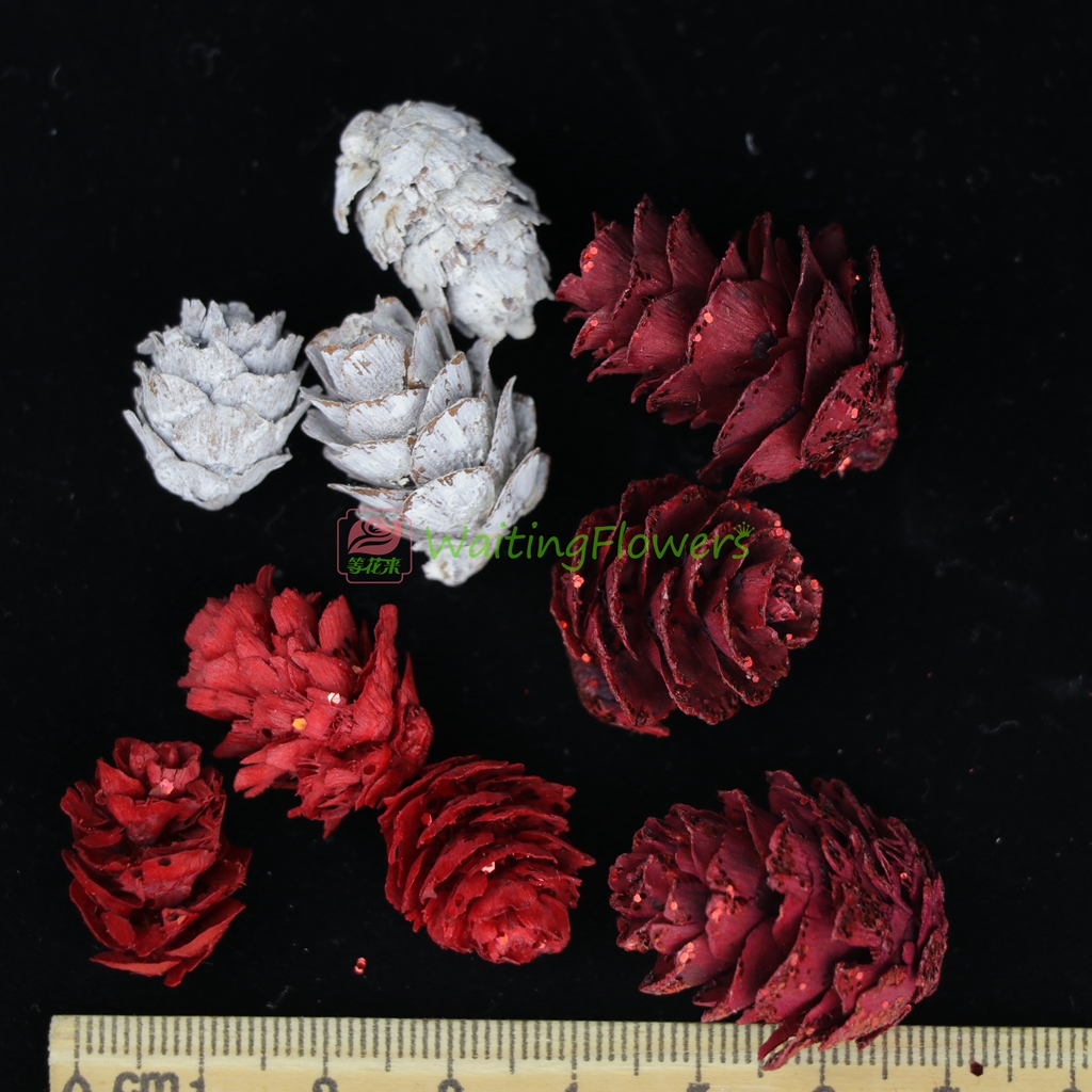 Echinacea Earth Plantation Christmas Flower material Japan Imported Spend eternity shot prop Garland Raw materials diyin the Flower delivery/Flowers simulation/Plants gardening , Spend eternity/Dried flowers , Dried flowers category - from Buy2taobao.com to provide professional Taobao agent buy service