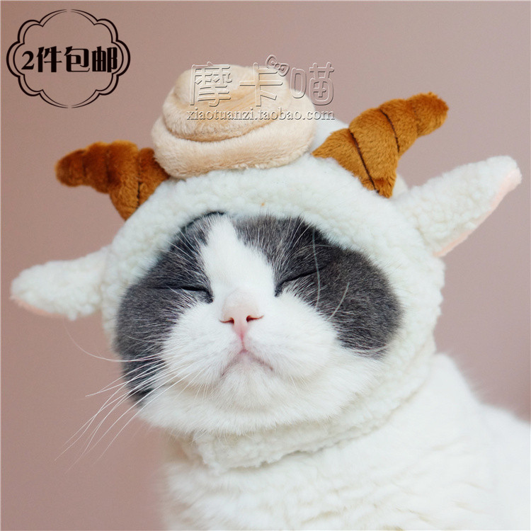 *摩卡喵*宠物帽子猫咪狗狗 美羊羊懒羊羊便便小绵羊变身帽变装帽在类目 宠物/宠物食品及用品, 宠物服饰及配件, 帽子中 - 来自Buy2taobao.com提供专业的淘宝代购服务