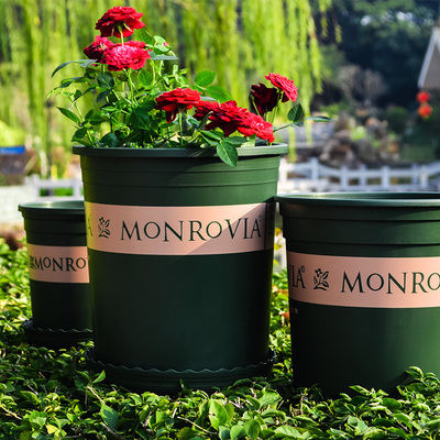 花盆塑料树脂加仑花盆阳台种花种菜花盆多肉绿萝园艺月季花盆