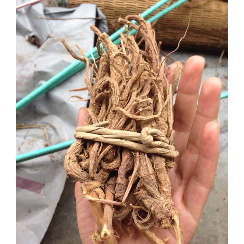 Guangxi Mountains wild Chicken feet Fragrant Hills Chicken feet Peucedanum 500 gramin the Traditional nourishing food , Medicinal and Edible Food , Other Medicinal and Edible Food category - from Buy2taobao.com to provide professional Taobao agent buy service