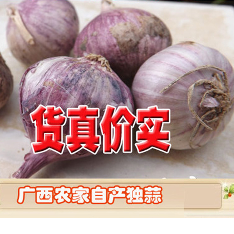 Guangxi Farm Production Pleionein the Aquatic meat/Fresh fruits and vegetables/Cooked , Fresh vegetables/Vegetable products , Garlic category - from Buy2taobao.com to provide professional Taobao agent buy service