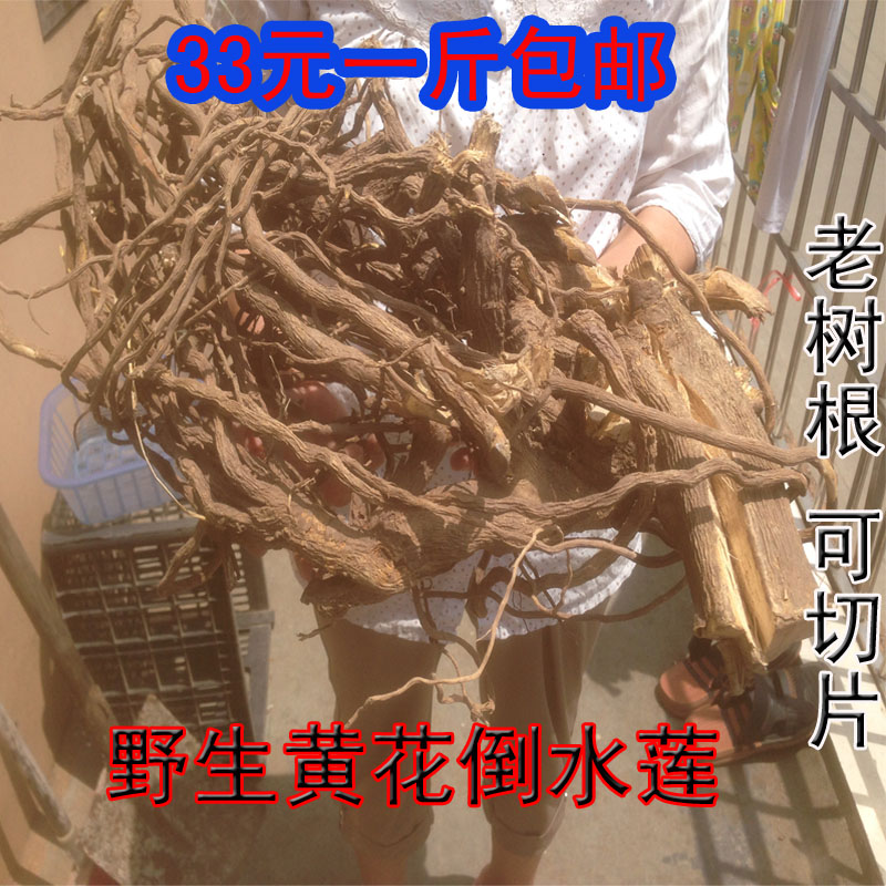 野生 倒吊黄根黄花倒水莲 黄花大远志观音串倒吊王黄花参 包邮在类目 传统滋补营养品, 药食同源食品, 其他药食同源食品中 - 来自Buy2taobao.com提供专业的淘宝代购服务