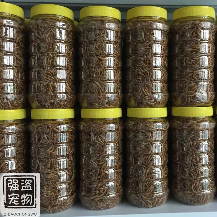 强盗宠物刺猬蜜袋鼯花枝鼠仓鼠松鼠零食粮食饲料烘干面包虫干135g在类目 宠物/宠物食品及用品, 仓鼠类及其它小宠, 饲料/零食中 - 来自Buy2taobao.com提供专业的淘宝代购服务