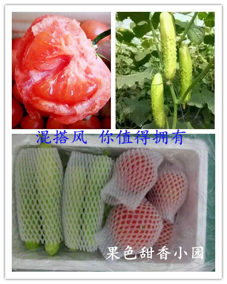 烟台海阳特产有机白玉黄瓜+普罗旺斯有机西红柿组合 5斤包邮在类目 水产肉类/新鲜蔬果/熟食, 新鲜蔬菜/蔬菜制品, 新鲜蔬菜, 其它中 - 来自Buy2taobao.com提供专业的淘宝代购服务