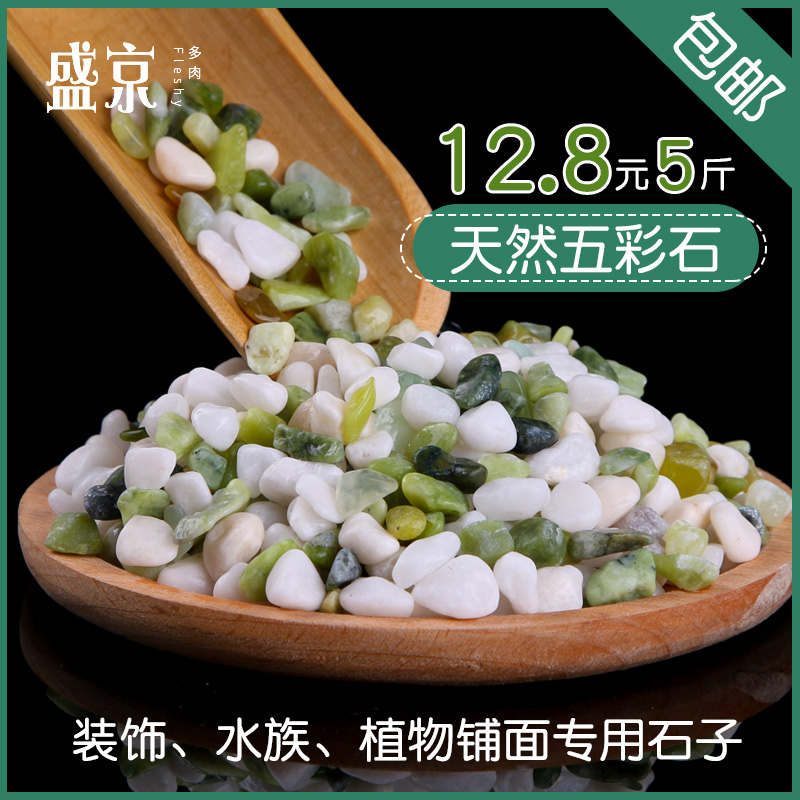 园艺彩石头花盆装饰鱼缸石子底砂造景天然庭院铺面石盆栽石头子在类目 鲜花速递/花卉仿真/绿植园艺, 园艺用品, 其它园艺用品中 - 来自Buy2taobao.com提供专业的淘宝代购服务