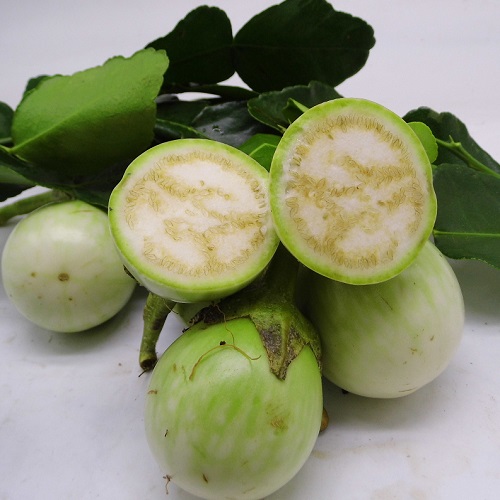 Thailand Imported fresh Eggplant Thailand eggplant Solanum rosea Young eggplant Thailand green eggplant Thai cuisine raw materialsin the Aquatic meat/Fresh fruits and vegetables/Cooked , Fresh vegetables/Vegetable products , Fresh vegetables , Other category - from Buy2taobao.com to provide professional Taobao agent buy service