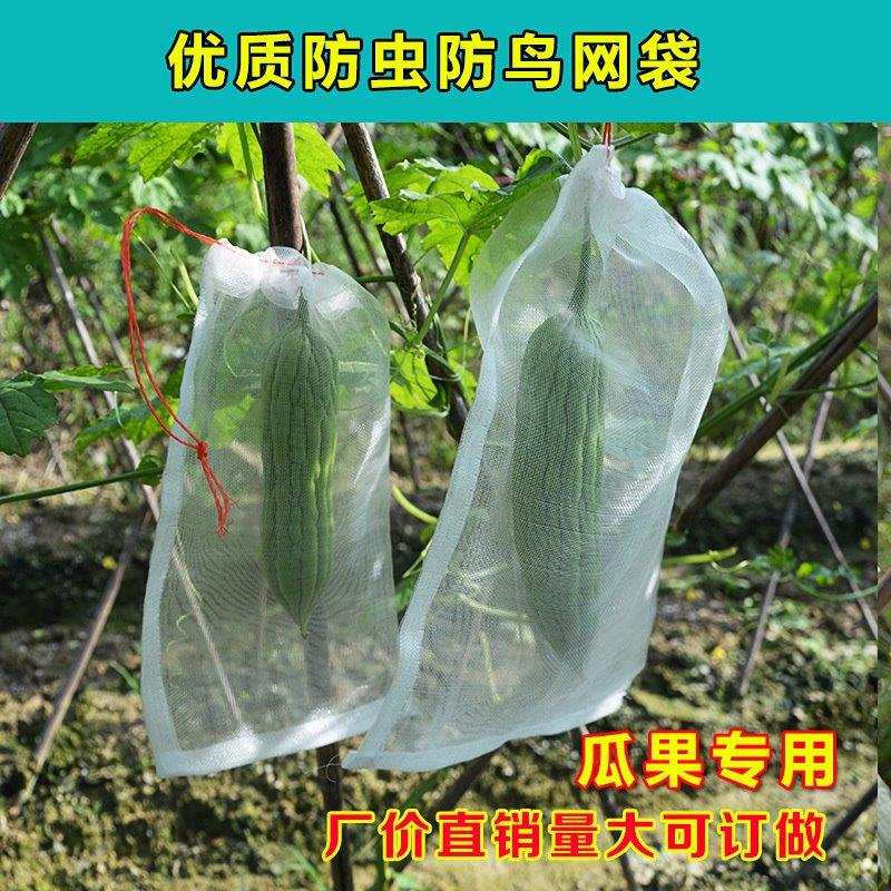 防虫网防虫袋 瓜果防果蝇防鸟袋滤网浸种 葡萄水果套袋 尼龙网袋|msdalam kategori penghantaran bunga/bunga simulasi/tumbuhan berkebun, Gardening Supplies, Peralatan Perkebunan lain - dari Buy2taobao.com untuk memberikan perkhidmatan ejen Taobao profesional membeli