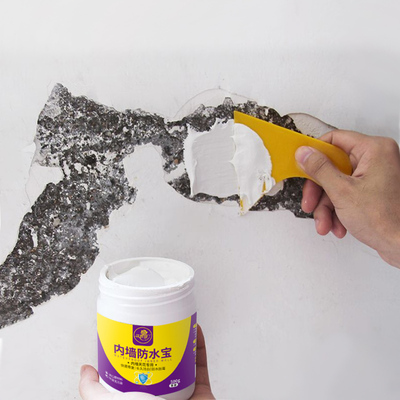 内墙防水防霉涂料室内墙面防水胶渗水防潮修补漏材料卫生间抗碱剂