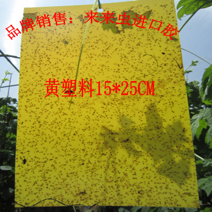 [ 15 Yellow plastic 15*25 Manufactor Direct selling Two-sided Mosquito flyin the Home Daily , Deworming supplies , Flypaper category - from Buy2taobao.com to provide professional Taobao agent buy service
