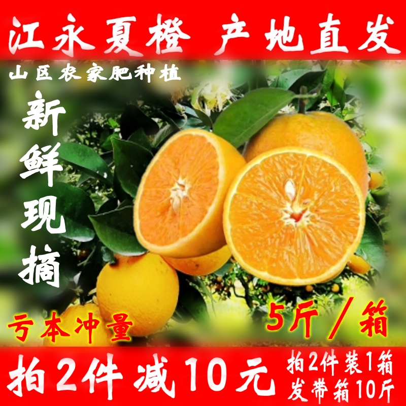 江永夏橙时令水果现摘手剥橙非脐橙沃柑新鲜水果榨汁甜橙5斤包邮在类目 水产肉类/新鲜蔬果/熟食, 新鲜水果, 橙中 - 来自Buy2taobao.com提供专业的淘宝代购服务