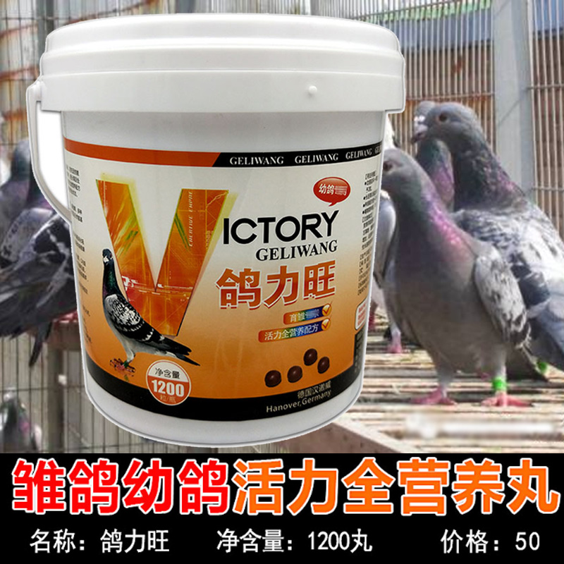 汉诺威鸽药【鸽力旺】赛信鸽用品育雏宝雏鸽幼鸽鹦鹉鸟保健营养品在类目 宠物/宠物食品及用品, 鸟类及用品, 鸟食中 - 来自Buy2taobao.com提供专业的淘宝代购服务