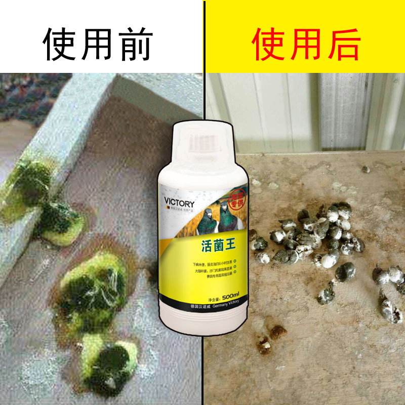 Hanover Pigeon drug Living bacteria Pigeon Everything to gain Living bacteria Ronda Living bacteria dove Pigeon Supplies Bacilliin the Pet/Pet food and supplies , Birds and supplies , Medical Supplies category - from Buy2taobao.com to provide professional Taobao agent buy service