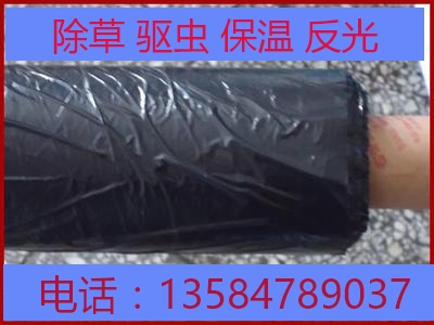 除草膜农用黑地膜白地膜草莓膜银黑双色地膜加厚地膜塑料薄膜在类目 鲜花速递/花卉仿真/绿植园艺, 园艺用品, 其它园艺用品中 - 来自Buy2taobao.com提供专业的淘宝代购服务