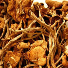 温州特产/茶树菇/ 250克