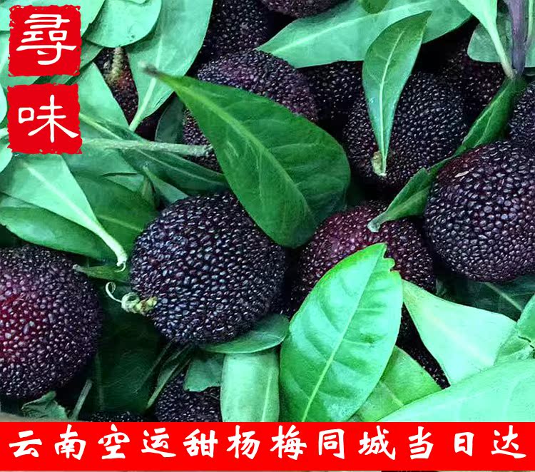 新鲜当季云南空运杨梅新鲜孕妇水果非大东魁甜杨梅3斤同城当日达|ruв категории водной мясо/свежие фрукты и овощи/еда, свежие фрукты, другие - от Buy2taobao.com для оказания профессиональной услуги покупки агента Taobao