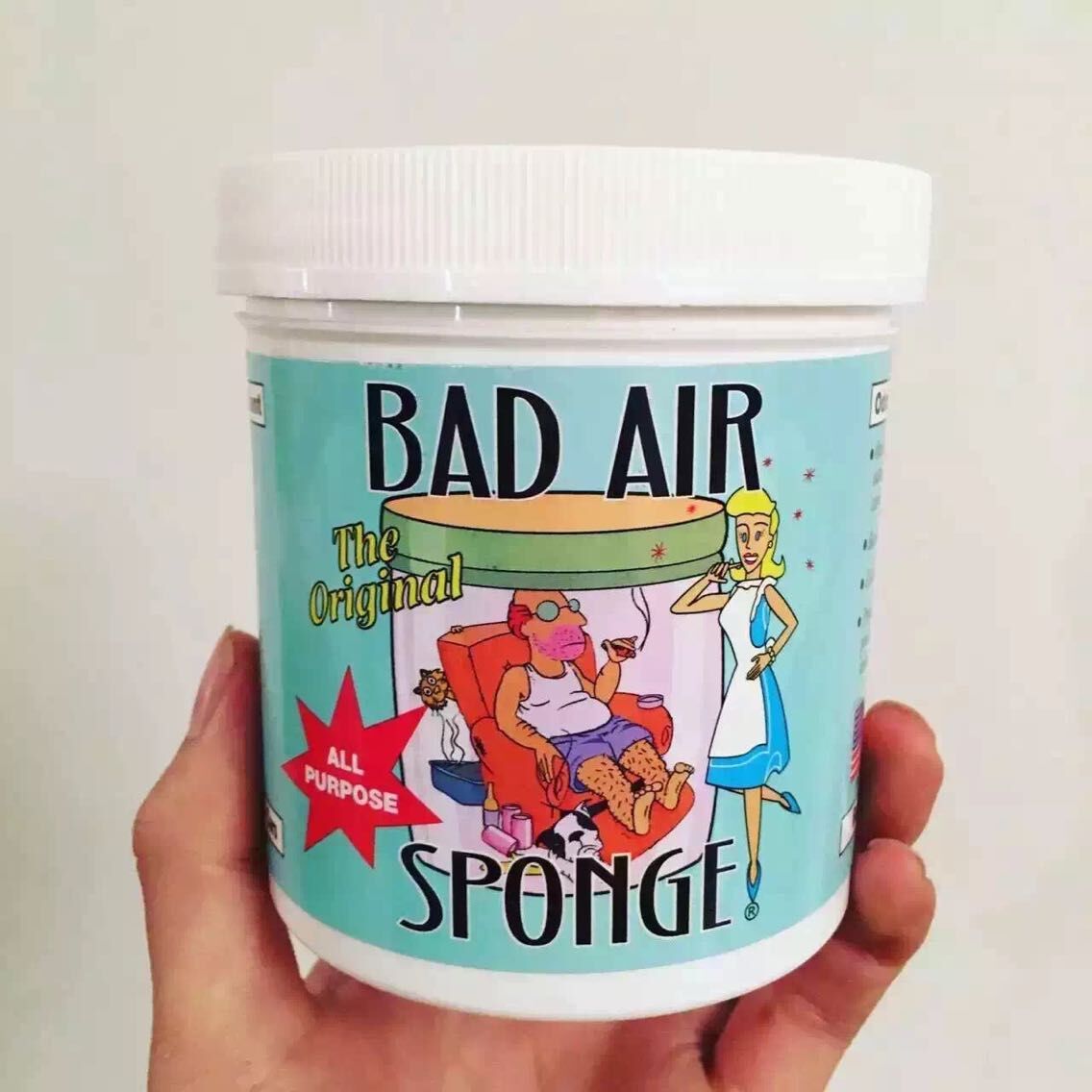 美国Bad Air Sponge空气净化剂 新房新车异味除味甲醛清除剂在类目 居家日用, 家居健康用品, 空气净化剂中 - 来自Buy2taobao.com提供专业的淘宝代购服务