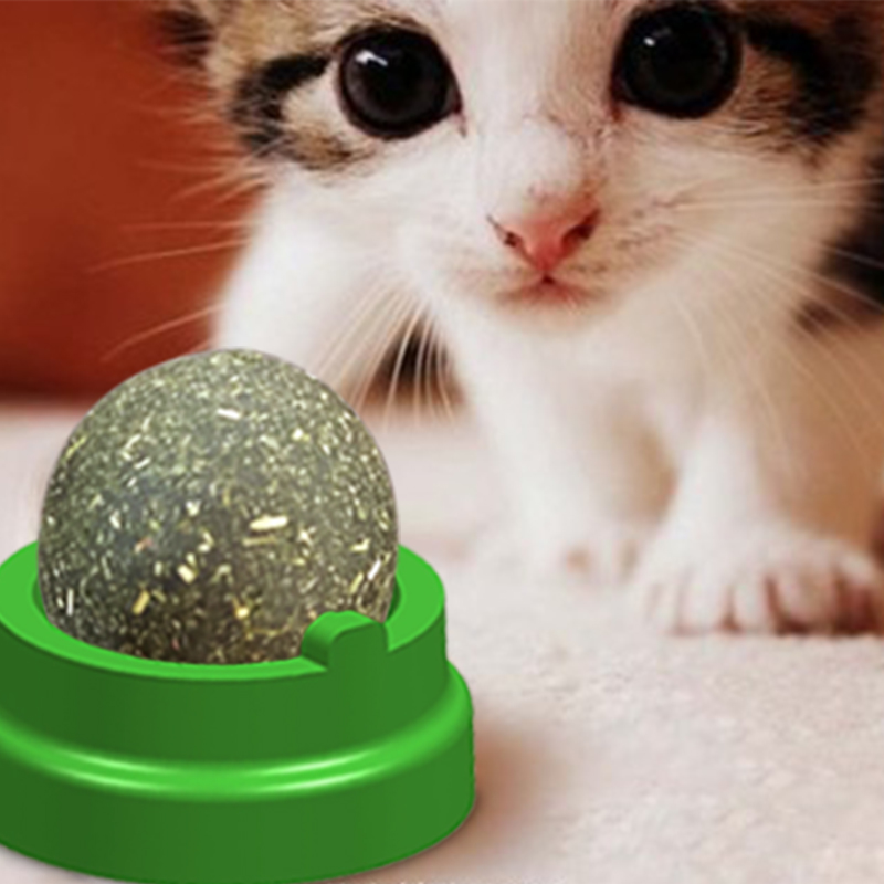 猫薄荷逗猫玩具猫磨牙小猫猫咪用品猫零食糖在类目 宠物/宠物食品及用品, 猫/狗玩具, 橡胶球/球形玩具中 - 来自Buy2taobao.com提供专业的淘宝代购服务