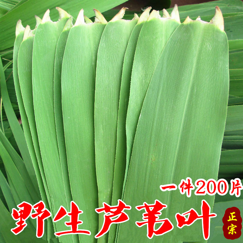 Farm wild Zongye fresh Reed leaves Zongzi leaf Wood leaf Dragon boat festival Zongzi leaf 200 Piece Free Shippingin the Agri rice/Dried foods/Condiment , Dried foods/Meat Dry , Dry/Native , Other category - from Buy2taobao.com to provide professional Taobao agent buy service