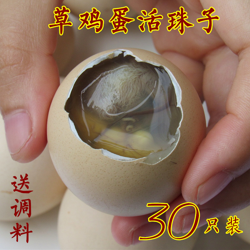 农家13天新鲜活珠子 草鸡蛋活珠子 鸡胚蛋 毛蛋 喜蛋 旺鸡蛋 包邮在类目 水产肉类/新鲜蔬果/熟食, 蛋/蛋制品, 鲜活蛋类, 鸡蛋中 - 来自Buy2taobao.com提供专业的淘宝代购服务