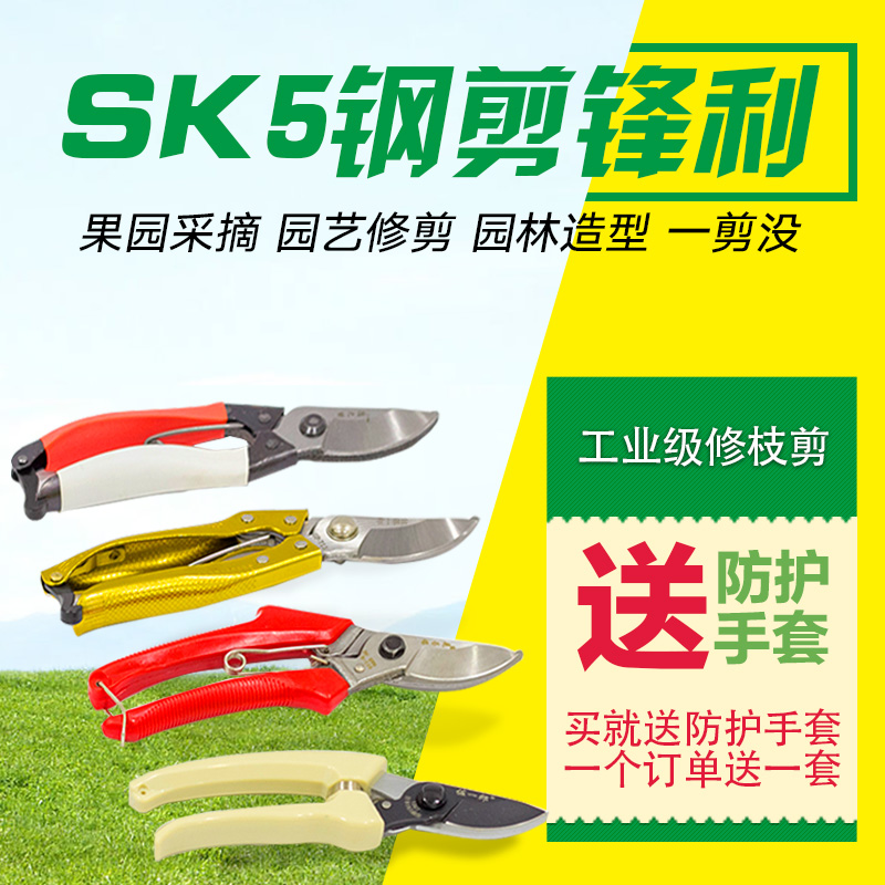 果树苗木修枝剪刀 绿篱剪刀园艺工具多功能家庭果树插花修枝花剪|msdalam kategori penghantaran bunga/bunga simulasi/tumbuhan berkebun, Gardening Supplies, berkebun/pisau/Shears/Saw (baru), gunting - dari Buy2taobao.com untuk memberikan perkhidmatan ejen Taobao profesional membeli
