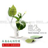 潮人 时尚 创意 IdeaShow 春之信息树叶便签纸花器留言座(大)