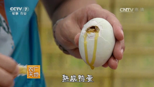 【厂家直销】大连庄河特产鑫岛蛋海鸭蛋正宗熟咸鸭蛋65g×10枚|msdalam kategori daging perikanan/Buah-buahan segar dan sayur-sayuran/dimasak, telur/telur Produk, Telur dan produk telur diproses, Telur masin - dari Buy2taobao.com untuk memberikan perkhidmatan ejen Taobao profesional membeli