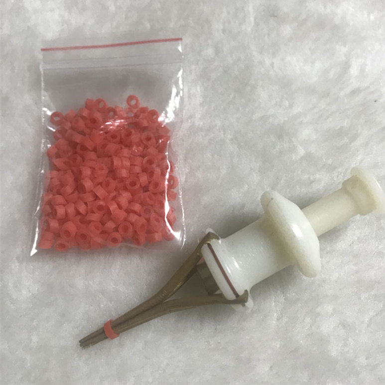 泰迪柯基小型犬幼犬宠物断尾器断尾夹 14元包邮赠送皮筋颗粒|msdalam kategori haiwan peliharaan/makanan haiwan dan bekalan, Cat/Anjing dandanan pembersihan bekalan, Gunting kuku - dari Buy2taobao.com untuk memberikan perkhidmatan ejen Taobao profesional membeli