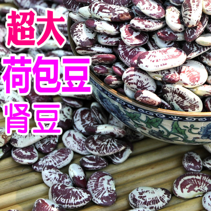 农家荷包豆状元豆大肾豆 豆类杂粮花芸豆花豆 大粒优质500g|msdalam kategori beras/Utara-Selatan barangan kering/perasa, meter/tepung/bijirin, Beans, lain - dari Buy2taobao.com untuk memberikan perkhidmatan ejen Taobao profesional membeli