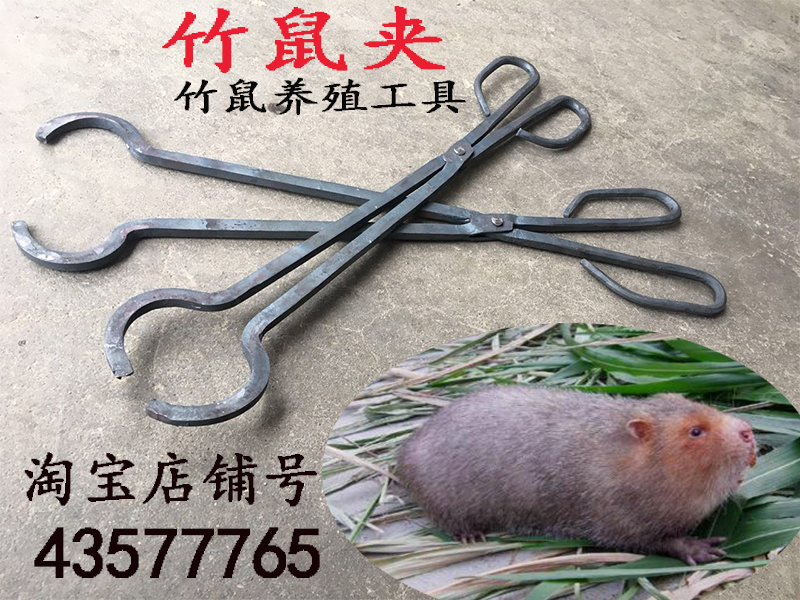 新款竹鼠夹子芒鼠夹养殖用品畜牧用品竹鼠钳子防咬捕捉工具包邮|msdalam kategori perkakasan/alat, Alat-alat tangan, memegang Tools, Lain Tools Holding - dari Buy2taobao.com untuk memberikan perkhidmatan ejen Taobao profesional membeli
