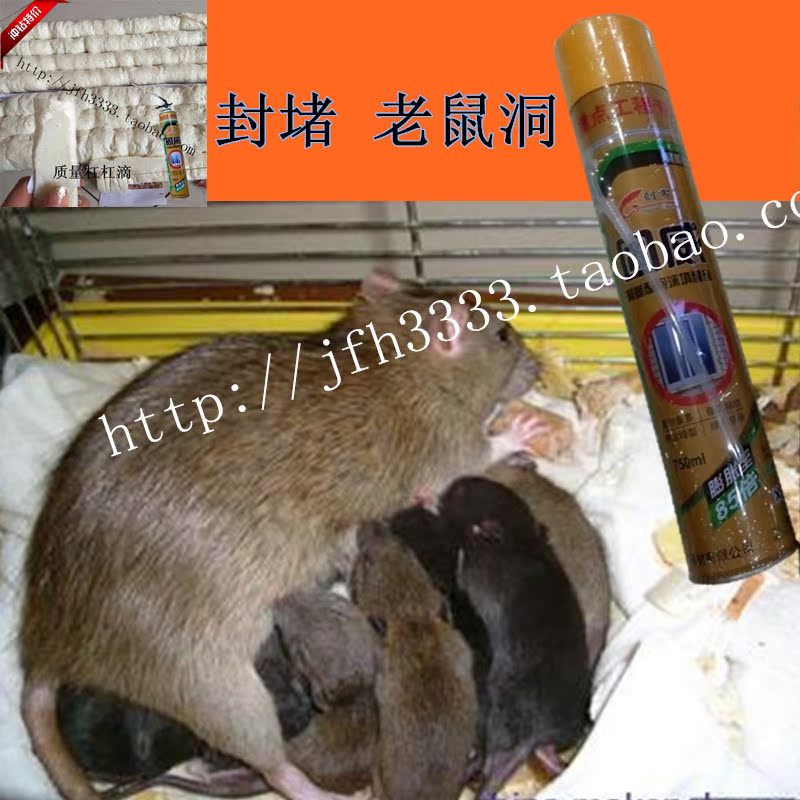 Magical Artifact that will do waterproof Windbreak Insects have nowhere to hide household Intracavity Expansion Gumin the Basic building materials , Accessories Area , Windows accessories , Bubble gum category - from Buy2taobao.com to provide professional Taobao agent buy service