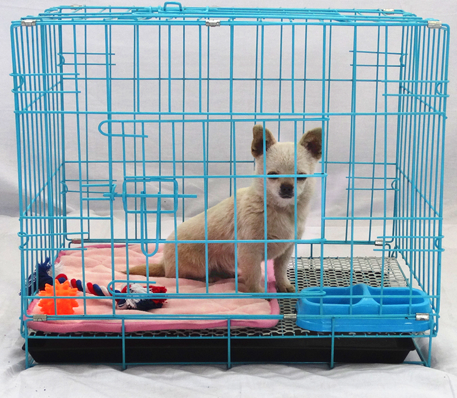 狗笼狗窝小中大型犬狗笼子泰迪猫笼鸡笼兔子笼铁丝折叠笼|ruв категории животное/Животное питание и принадлежностей, кошка/собака товаров, в клетку - от Buy2taobao.com для оказания профессиональной услуги покупки агента Taobao