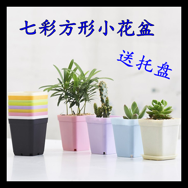 加成园艺塑料彩色花盆 送托盘盆栽花盆方形小花盆 7彩多肉植物盆在类目 鲜花速递/花卉仿真/绿植园艺, 花瓶/花器/花盆/花架(新), 花盆中 - 来自Buy2taobao.com提供专业的淘宝代购服务