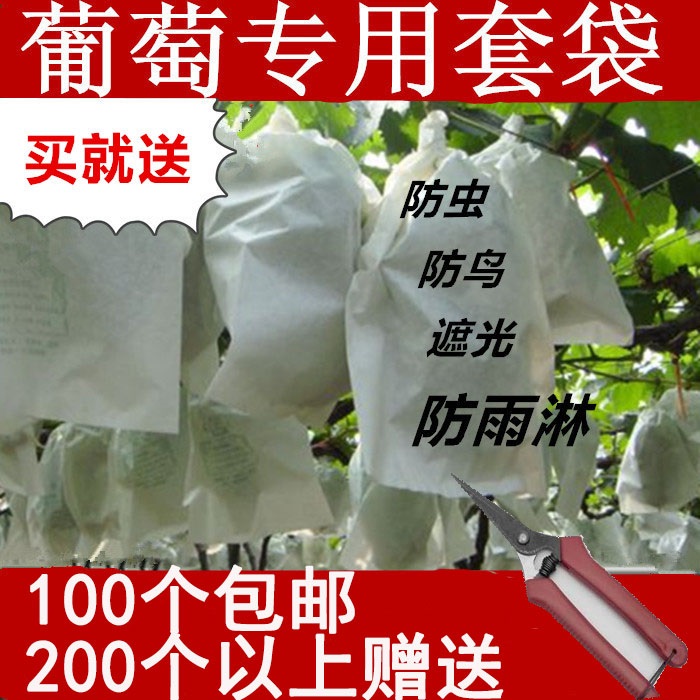 2018葡萄套袋专用袋防鸟防虫袋水果套袋套葡萄的纸袋子防水包梨袋在类目 鲜花速递/花卉仿真/绿植园艺, 园艺用品, 其它园艺用品中 - 来自Buy2taobao.com提供专业的淘宝代购服务