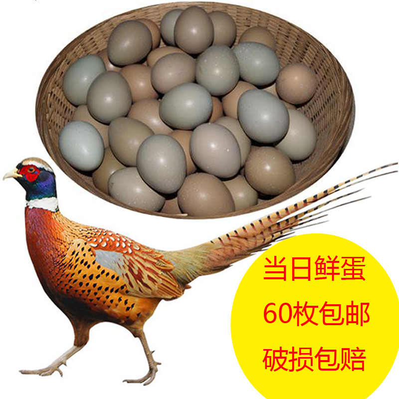Colorful Wild Eggs fresh wild Hill eggs Farm Backyard Nutrition Stupid Eggs free range eggs 60 Goldin the Aquatic meat/Fresh fruits and vegetables/Cooked , Egg/Egg Products , Fresh eggs , Eggs category - from Buy2taobao.com to provide professional Taobao agent buy service