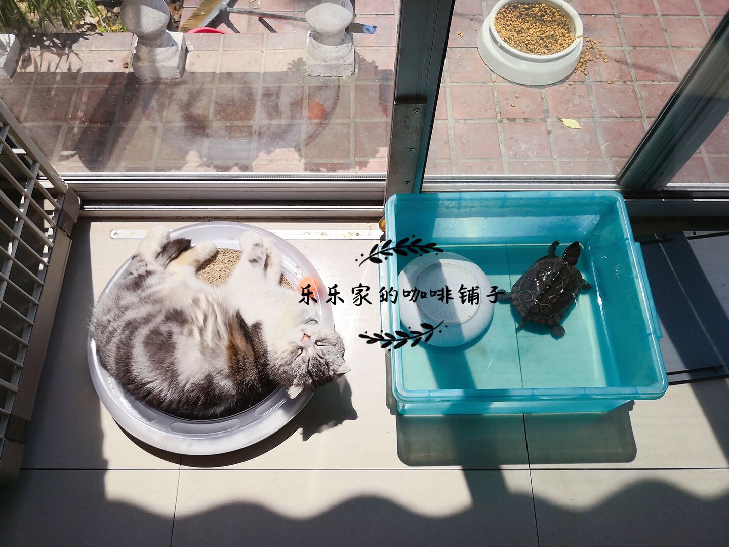 小佩 猫抓板 猫咪游乐场 瓦楞纸猫抓板|msdalam kategori haiwan peliharaan/makanan haiwan dan bekalan, Cat/Mainan anjing, Cat Scratcher - dari Buy2taobao.com untuk memberikan perkhidmatan ejen Taobao profesional membeli