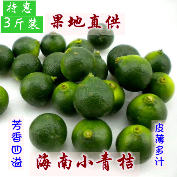 3斤裝新鮮水果海南小青桔金桔橘 小青檸檬果園現摘 包郵牛牛島NND在類目 水產肉類/新鮮蔬果/熟食, 新鮮水果, 桔子中 - 來自Buy2taobao.com提供專業的淘寶代購服務