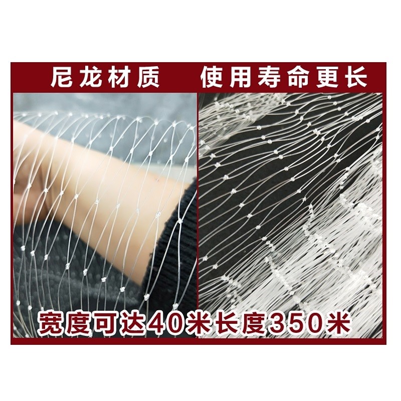 葡萄园防鸟网葡萄捉防雹网捕网30树通用包边园艺用品在类目 鲜花速递/花卉仿真/绿植园艺, 园艺用品, 其它园艺用品中 - 来自Buy2taobao.com提供专业的淘宝代购服务