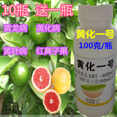 Yellow Number one Strengthen Huanglong Yellow Citrus Shatangju Orange Drip sterilizationin the Flower delivery/Flowers simulation/Plants gardening , Gardening supplies , Other Garden Supplies category - from Buy2taobao.com to provide professional Taobao agent buy service