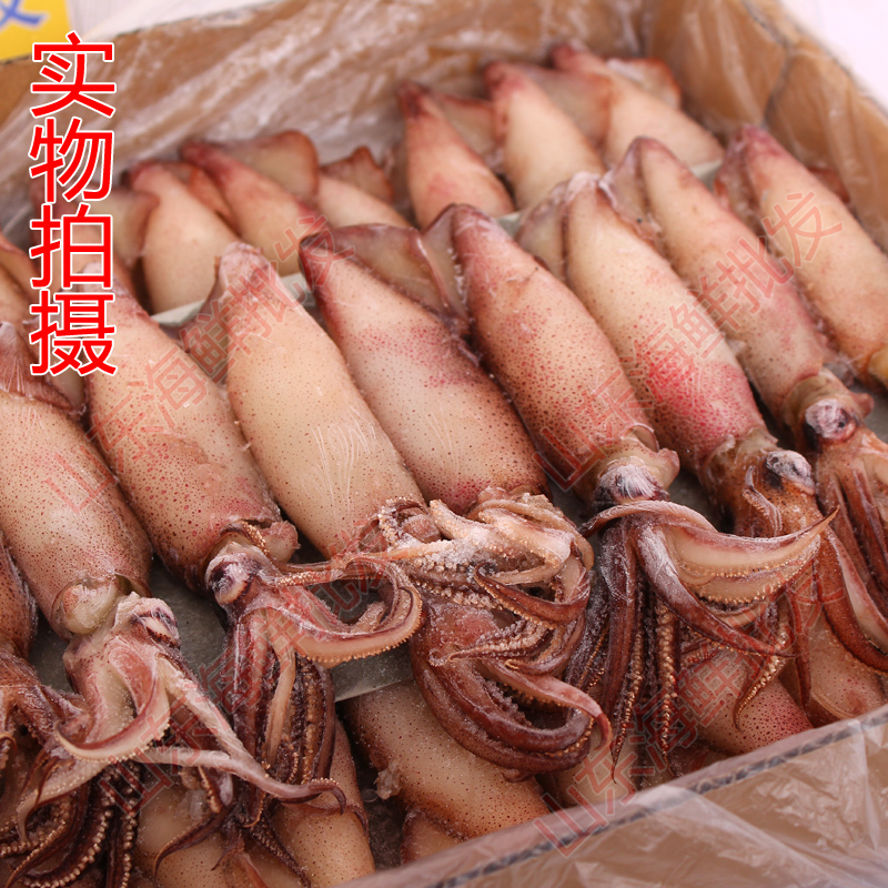 籽烏 新鮮籽烏半籽籽烏冷凍籽烏小鱿魚籽烏 大量供應30只左右在類目 水產肉類/新鮮蔬果/熟食, 海鮮/水產品/製品, 章魚, 冷凍章魚中 - 來自Buy2taobao.com提供專業的淘寶代購服務