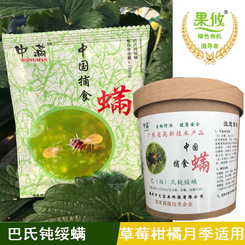 中满巴氏捕食螨红白蜘蛛杀螨剂柑橘草莓月季玫瑰天敌【部分有货】在类目 鲜花速递/花卉仿真/绿植园艺, 园艺用品, 其它园艺用品中 - 来自Buy2taobao.com提供专业的淘宝代购服务